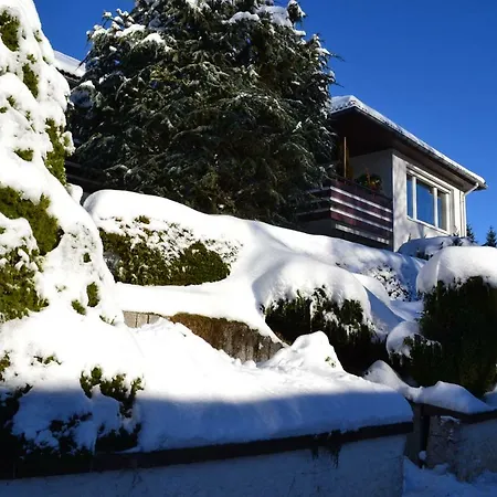 Apartment Haus Daniel Willingen (Upland)
